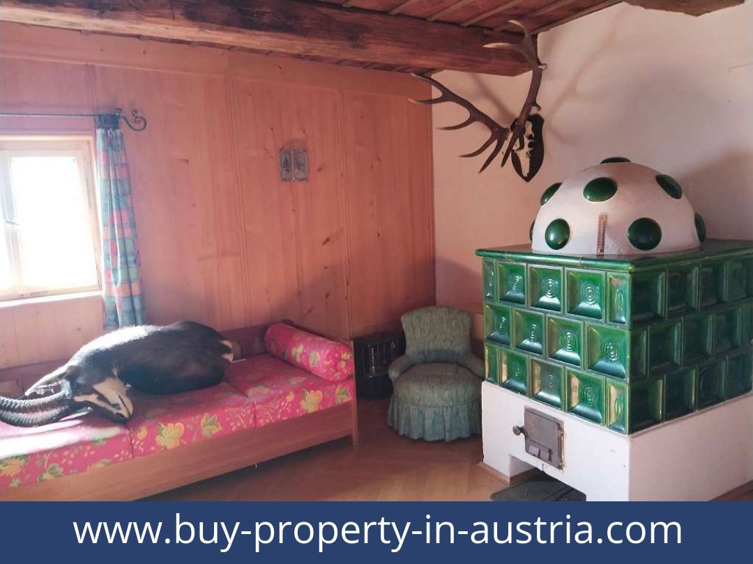 buy-property-in-austria-bad gams-8524-20251010221816-0032401012.jpg